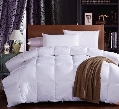 秋冬季加厚超柔纖羽柔絲被 廠家直供，團購批發優選